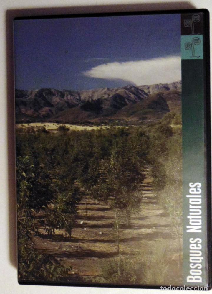 Cine: BOSQUES NATURALES