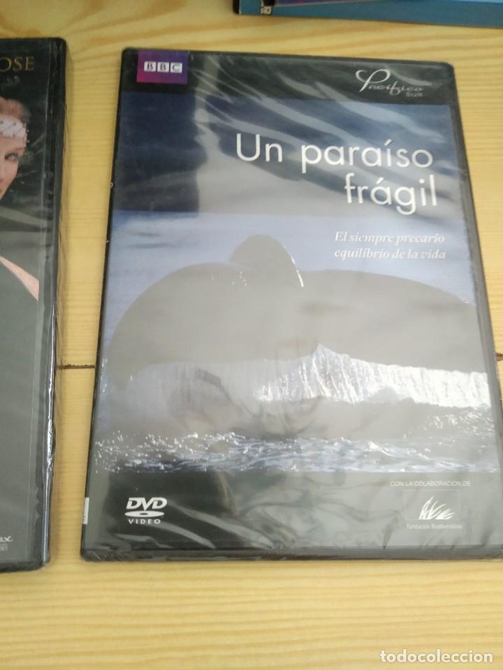 Cinema: M-14 DVD UN PARAISO FRAGIL EL SIEMPRE PRECARIO EQUILIBRIO DE LA VIDA NUEVO EMPAQUETADO SIN ABRIR