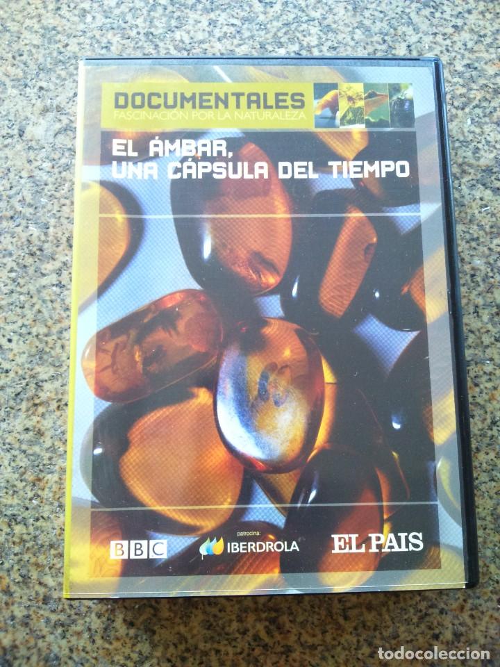 Cine: DVD -- EL AMBAR, UNA CAPSULA DEL TIEMPO -- BBC --