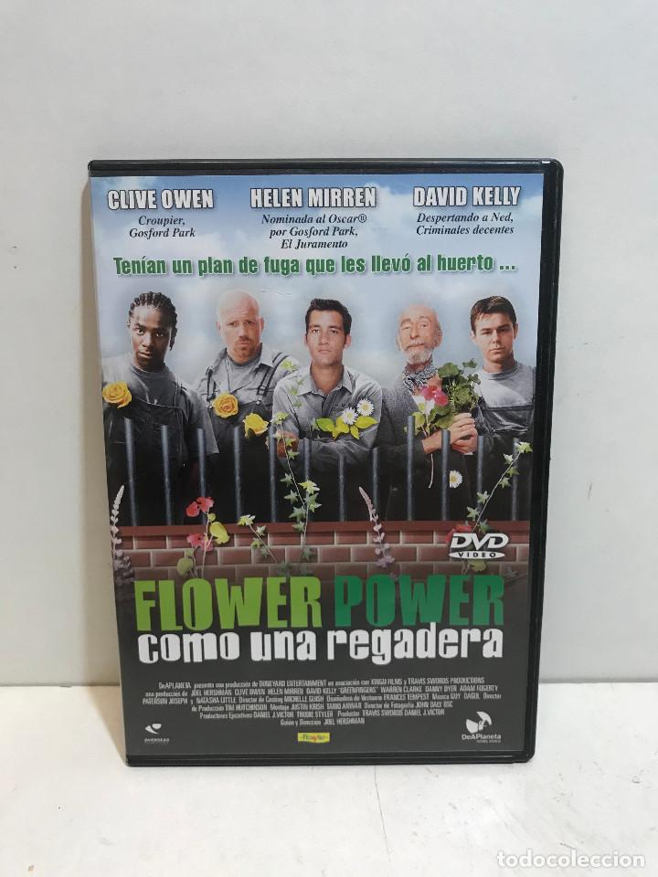 Cinema: DVD - CINE - FLOWER POWER. COMO UNA REGADERA