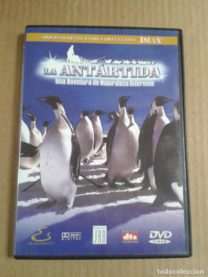 Cine: LA ANTARTIDA UNA AVENTURA DE NATURALEZA DIFERENTE. SOLO DESPRECINTADO.