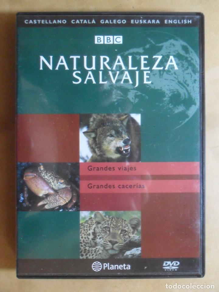Cine: DVD - NATURALEZA SALVAJE - GRANDES VIAJES / GRANDES CACERIAS - BBC