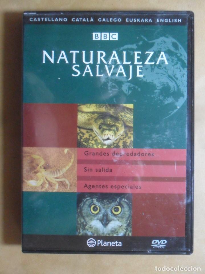 Cine: DVD - NATURALEZA SALVAJE - GRANDES DEPREDADORES / SIN SALIDA / AGENTES ESPECIALES - BBC -