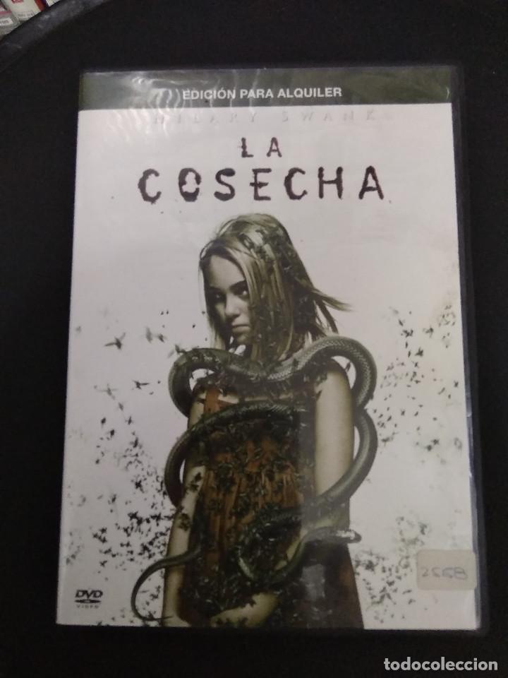 Cine: LA COSECHA - Foto 1