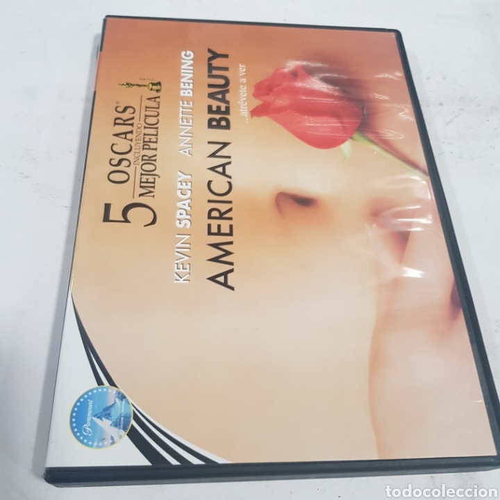 Cinema: S222 American Beauty -DVD SEGUNDA MANO