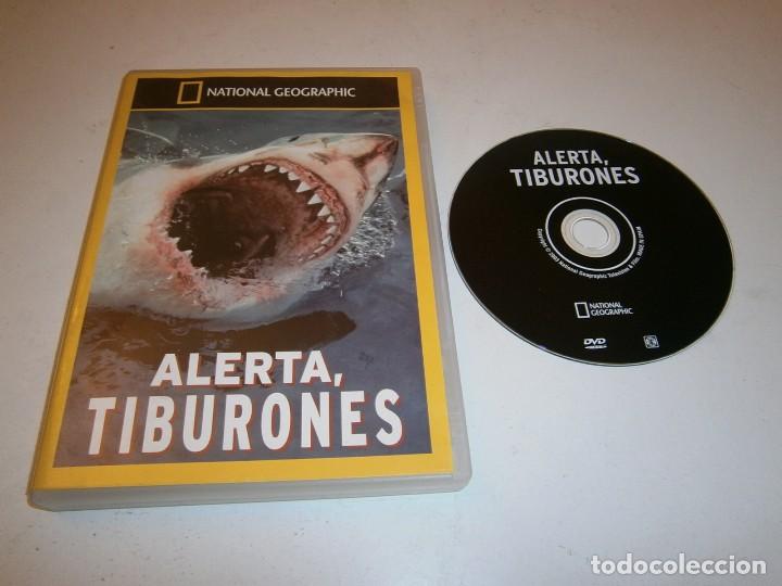 Kino: ALERTA TIBURONES DVD NATIONAL GEOGRAPHIC