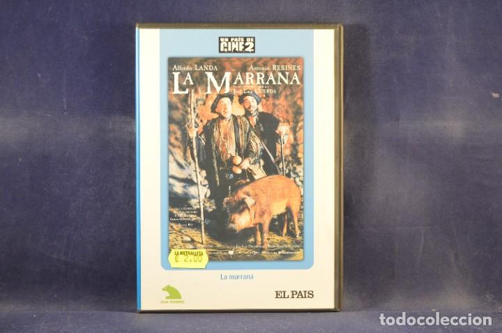 Kino: LA MARRANA - DVD