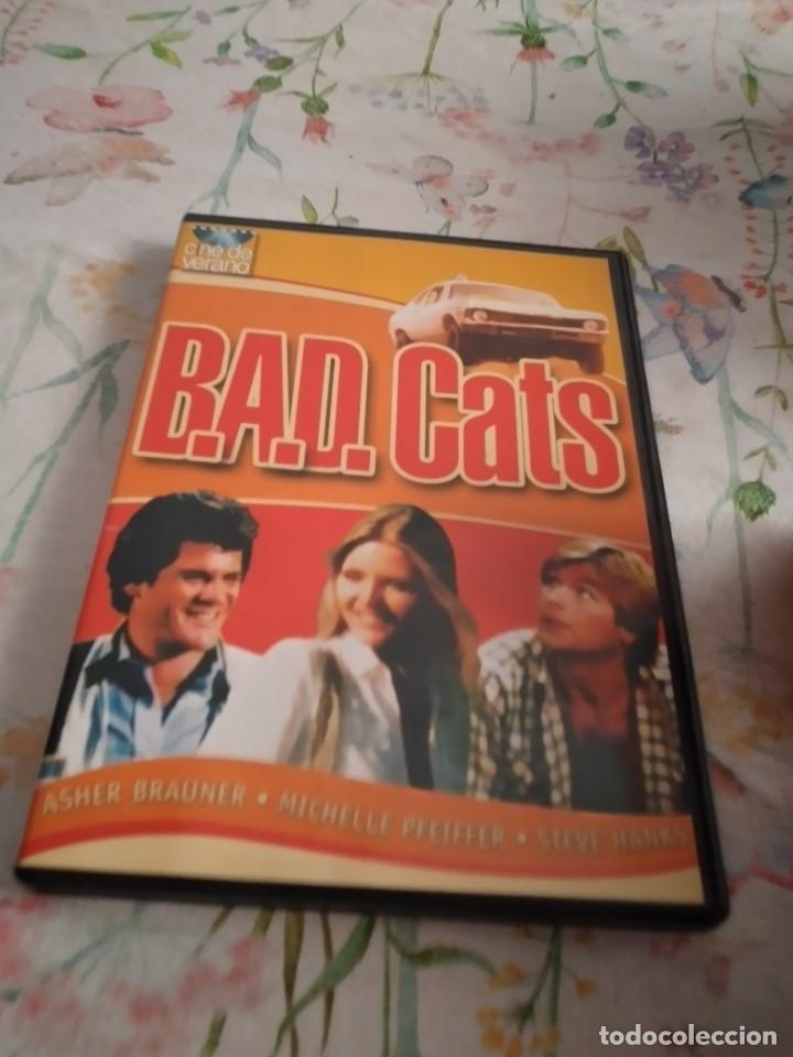 Cinema: GG-999 DVD CINE BAD CATS