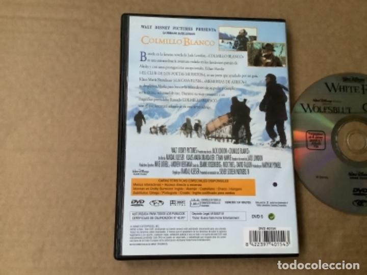 Cine: Dvd12. COLMILLO BLANCO. DVD - Foto 2