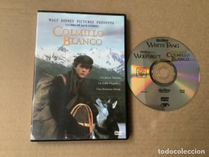 Cine: Dvd12. COLMILLO BLANCO. DVD - Foto 1