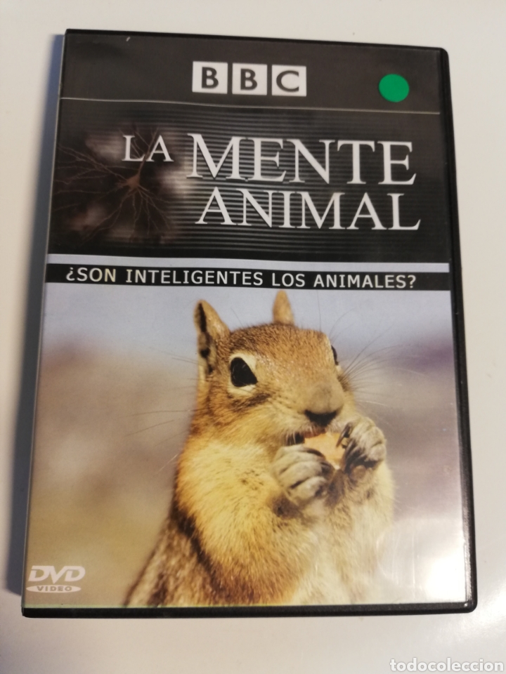 Cinema: LA MENTE ANIMAL. &iquest;SON INTELIGENTES LOS ANIMALES? (BBC) DVD