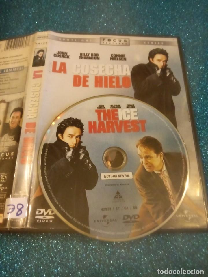 Cinema: Pelicula dvd la cosecha de hielo