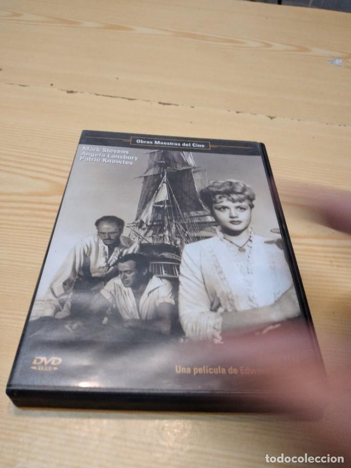 Cine: DVD CINE MOTIN M-58