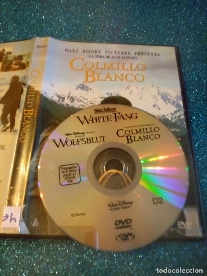 Cine: Pelicula dvd colmillo blanco - Foto 1