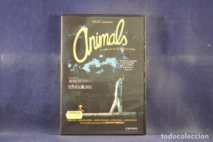 Cine: ANIMALS - DVD - Foto 1