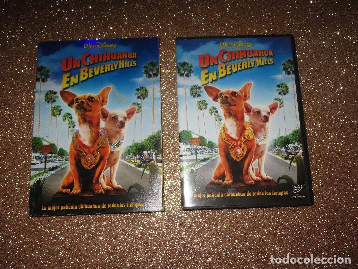 Cine: UN CHIHUAHUA EN BEVERLY HILLS - DVD - VIDEOCLUB - WALT DISNEY