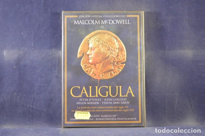 Cine: CALIGULA - DVD - Foto 1