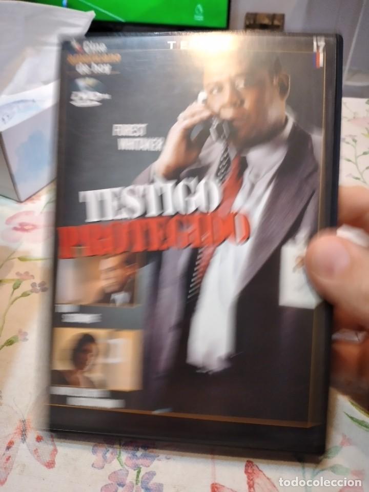 Cine: MM-PLG DVD CINE TESTIGO PROTEGIDO