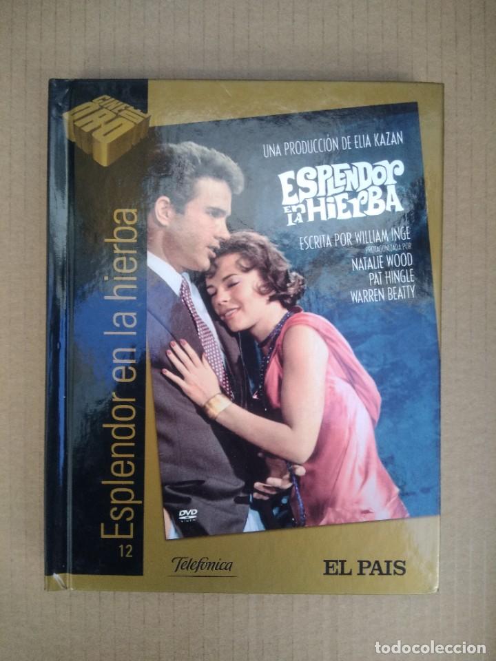 Cinema: Pelicula DVD libro resplandor en la hierba
