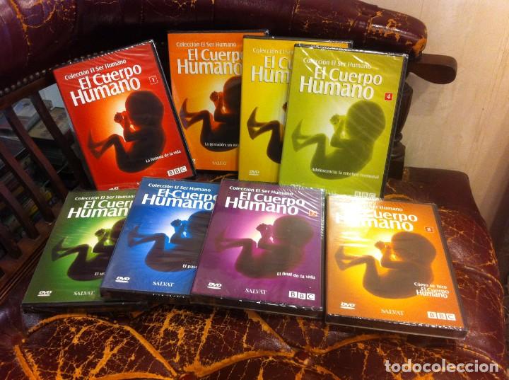 Cine: DVD. (PRECINTADO) COLECCI&Oacute;N EL SER HUMANO. EL CUERPO HUMANO (8 DVD)