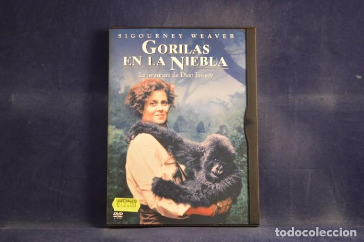 Cine: GORILAS EN LA NIEBLA - DVD - Foto 1