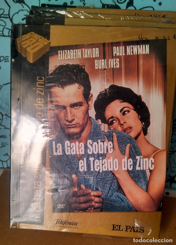 Cine: la gata sobre el tejado de zinc. colecci&oacute;n cine de oro el pais (libro+DVD) ** precintada **