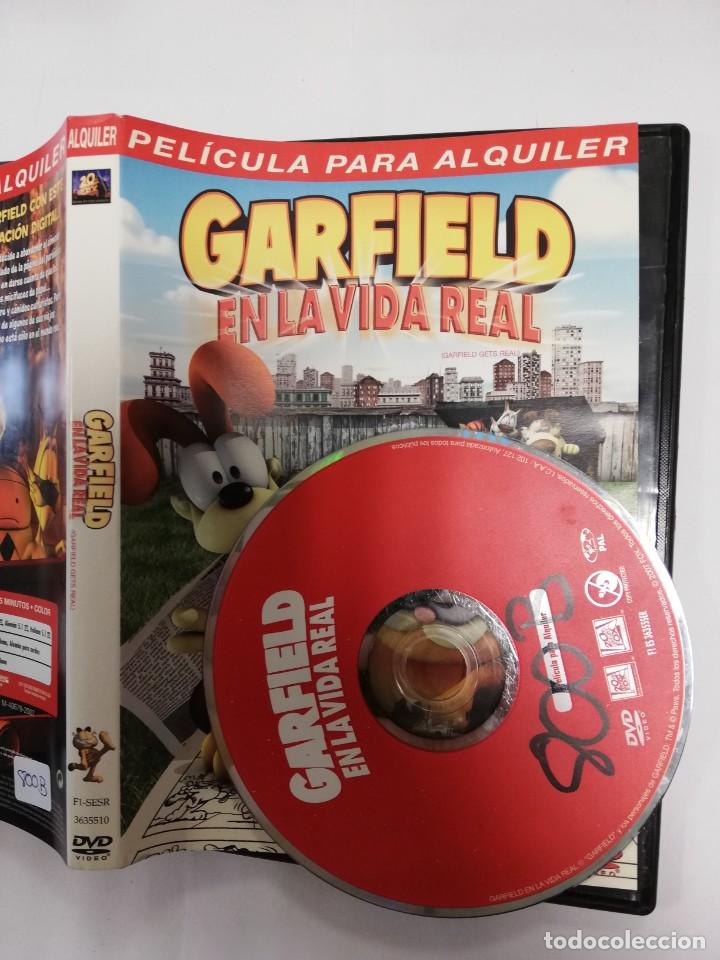 Cine: Pel&iacute;cula dvd - Garfield - En la vida real