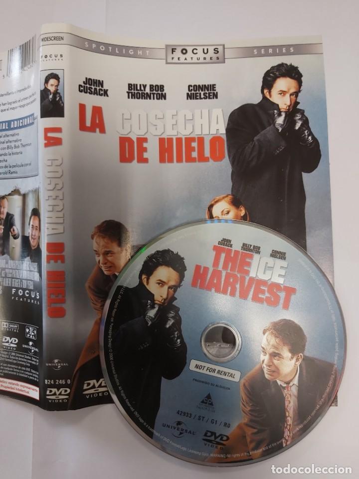 Cinema: Pel&iacute;cula dvd - La cosecha de hielo