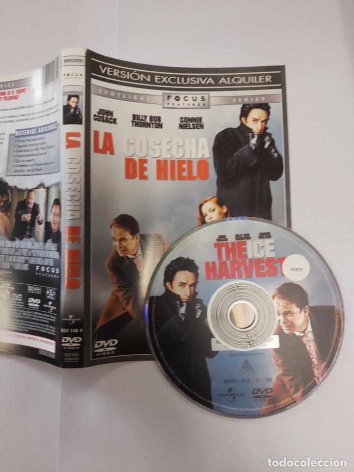 Kino: Pel&iacute;cula dvd - La cosecha de hielo