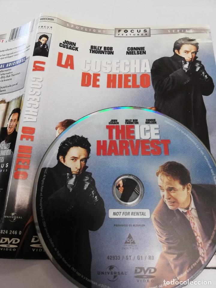 Cinema: Pel&iacute;cula dvd - La cosecha de hielo