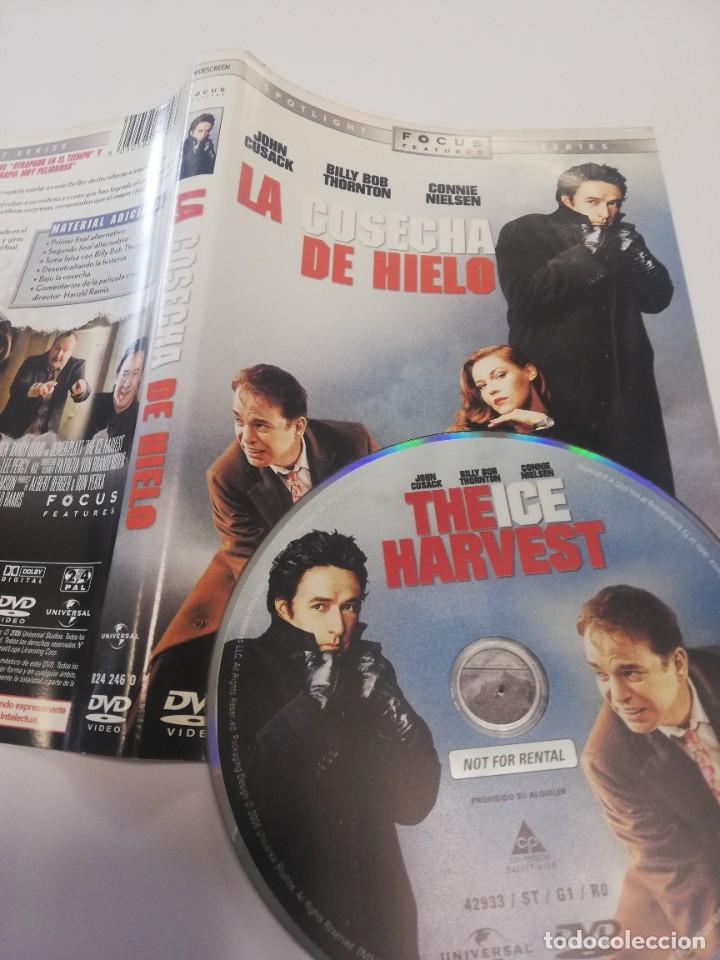 Cinema: Pel&iacute;cula dvd - La cosecha de hielo