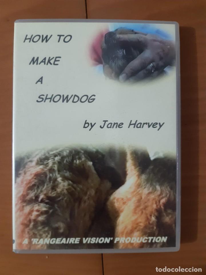 Cinema: HOW TO MAKE A SHOWDOG BY JANE HARVEY PERRO DE EXPOSICION DE SHOW