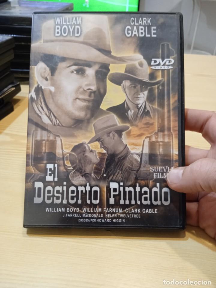 Kino: G-QK69V DVD CINE EL DESIERTO PINTADO