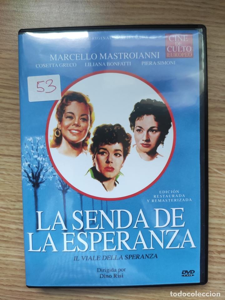Kino: La Senda de la esperanza Dvd