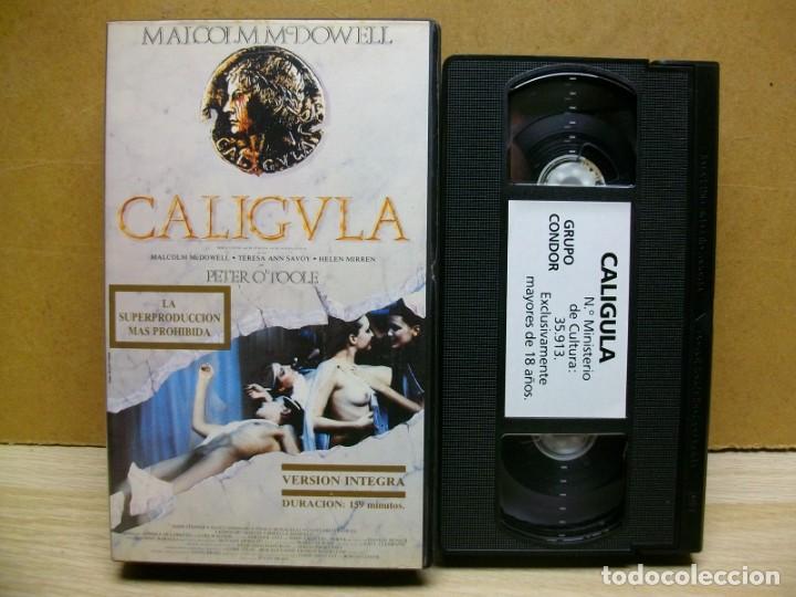 Cine: CALIGULA en VIDEO VHS - Foto 1