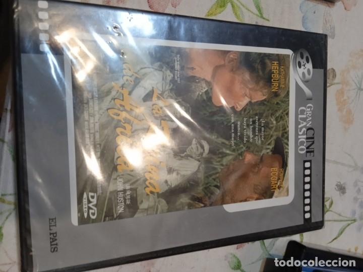 Cinema: G-FGI98N DVD CINE NUEVO PRECINTADO LA REINA DE AFRICA