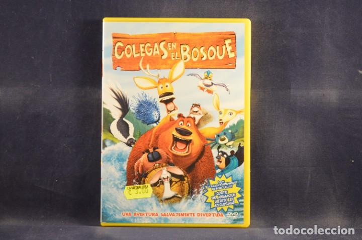 Cine: COLEGAS EN EL BOSQUE - DVD - Foto 1