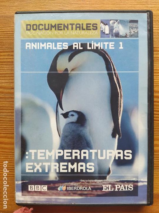 Kino: DVD ANIMALES AL LIMITE 1 - TEMPERATURAS EXTREMAS (035)