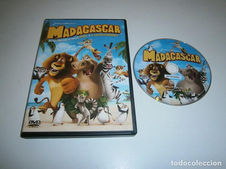 Cine: MADAGASCAR DVD - Foto 1