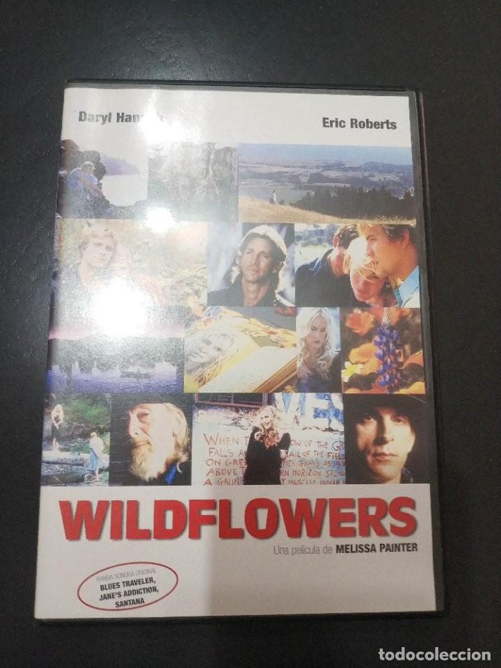 Cinema: WILDFLOWERS. COMO NUEVO