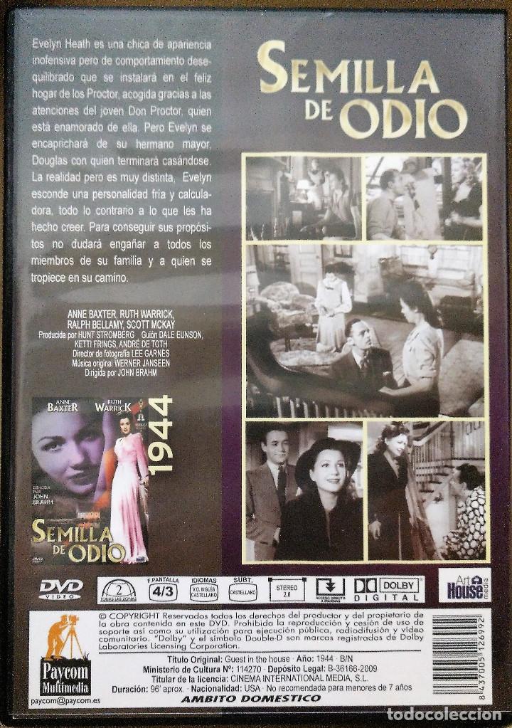 Cine: Semilla de odio. Anne Baxter - Foto 2