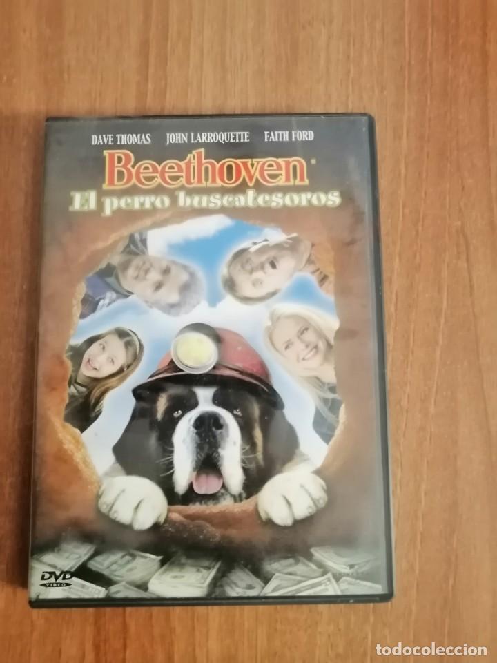 Cine: DVD BEETHOVEN EL PERRO BUSCATESOROS
