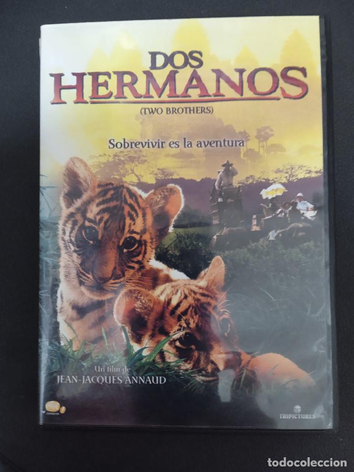 Cine: DOS HERMANOS - Foto 1