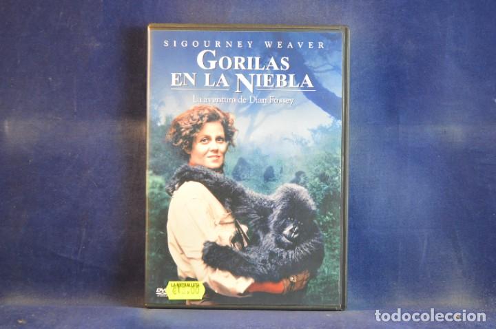 Cine: GORILAS EN LA NIEBLA - DVD - Foto 1