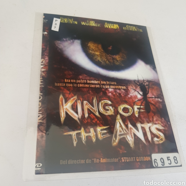 Cinema: PL 37 King of the ants -DVD VIDEOCLUB PLASTIFICADO SIN CAJA