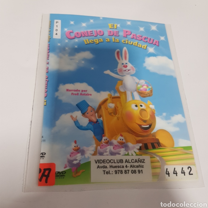 Cinema: PL 104 conejo de Pascua -DVD VIDEOCLUB PLASTIFICADO SIN CAJA