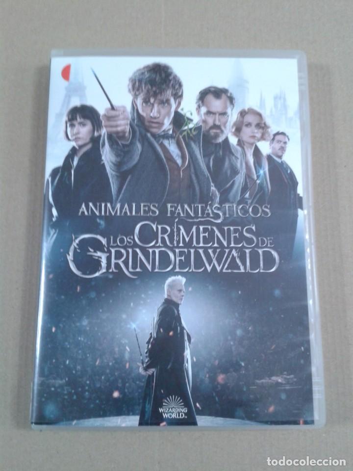 Cine: Animales Fant&aacute;sticos: Los Cr&iacute;menes De Grindelwald. Eddie Redmayne. DVD