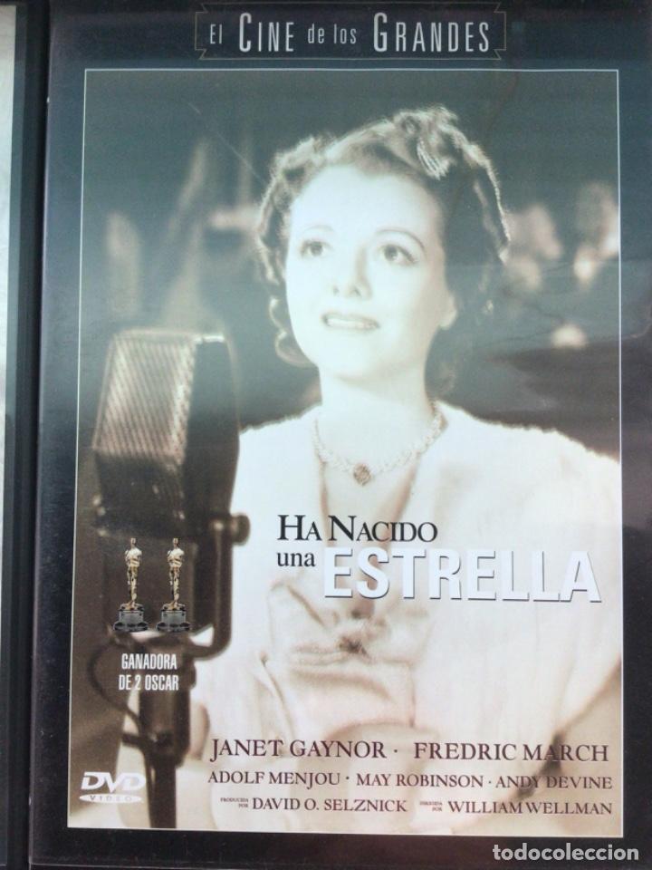 Kino: Ha nacido una estrella