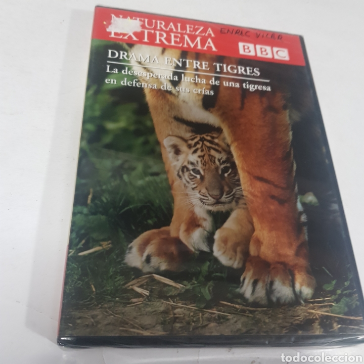 Cin&eacute;ma: ND13 drama entre Tigres &nbsp; -DVD NUEVO PRECINTADO