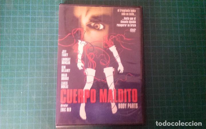 Kino: Cuerpo maldito. (p-15)